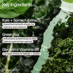 Youth To The People - Superfood Hydrating Gentle Antioxidant Refillable Cleanser